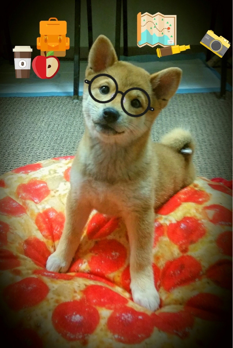 自由泳划水周期与转身效率相关性分析，自由泳划手和转体的配合