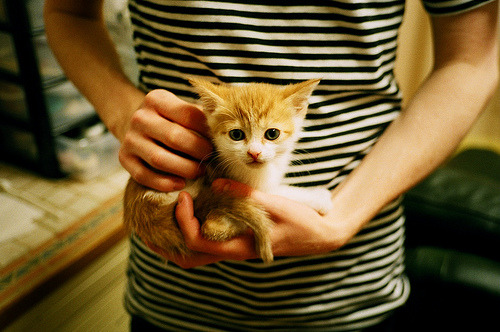 自由泳划水周期与转身效率相关性分析，自由泳划手和转体的配合