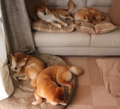 逆袭大战 亚洲杯上中国足球成功夺冠，2021年足球亚洲杯中国