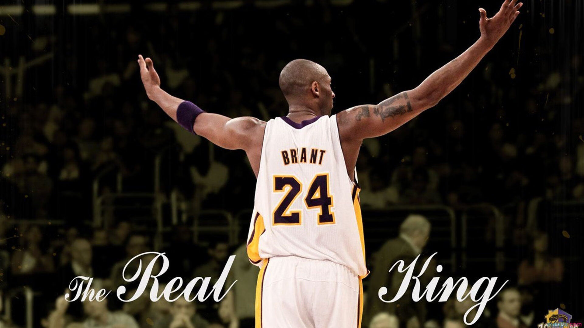 中超焦点对决再掀热潮，中超焦点对决再掀热潮是哪一期